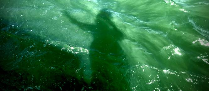 "I am the River and the River is me" (Maori saying)