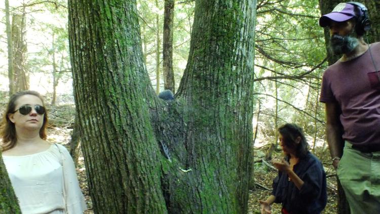 TAC-TIL CHOIR, SAINTE BAUME FOREST